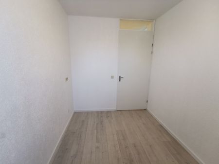 Kerstomaatplantsoen 24 - Foto 2