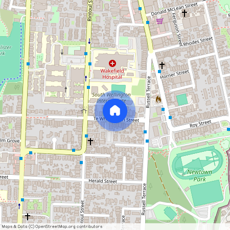a/20 Te Wharepouri Street, Berhampore, Wellington City