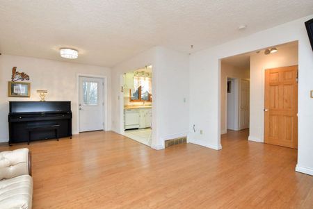 For Lease - 18A Elm Street, New Tecumseth, Ontario - Photo 5