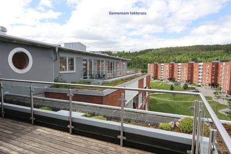 Nackstavägen 20 B - Photo 4