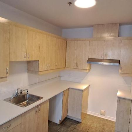 Grand 3 1/2 RENOVER, Saint-Eustache avec clientèle établi de 55+ ans - Photo 3