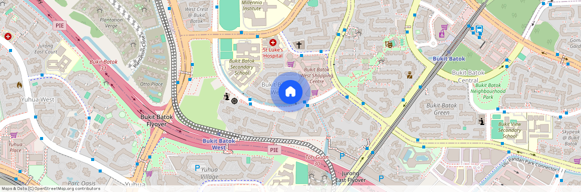 166 Bukit Batok West Avenue 8 (650166), Singapore