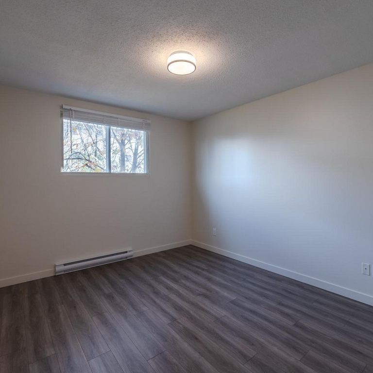 1 Bedroom - Renovated - Photo 1