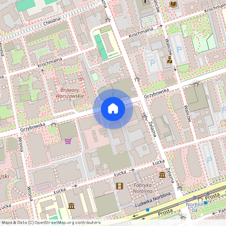 ul. Grzybowska, Mirów, Wola, Warszawa, mazowieckie