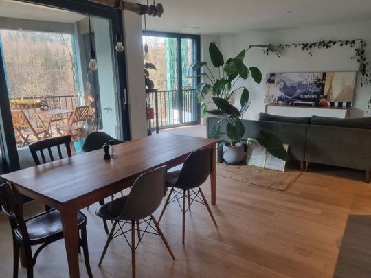 21/2-ROOM APARTMENT IN ZURICH – DISTRICT 2, FURNISHED, TEMPORARY - Photo 1