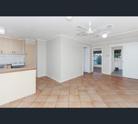 49 Crawford Street, Ashmont, NSW 2650 - Photo 5