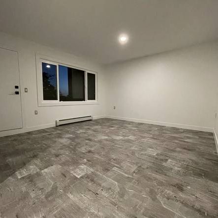 ►►► NEWLY RENOVATED MODERN, CHIC & COOL 1 BDRM...... - Photo 4