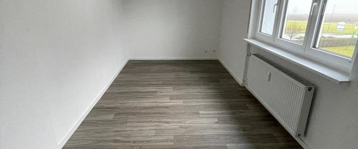 sanierte 4 Zimmer Wohnung, 125 qm, in Neuried - Altenheim, Balkon - Photo 1