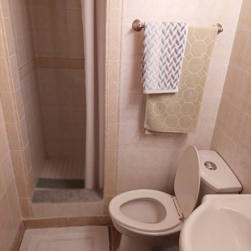 For Lease - 15 Lynnhaven Road Unit# (Lower Level), Toronto, Ontario - Photo 1