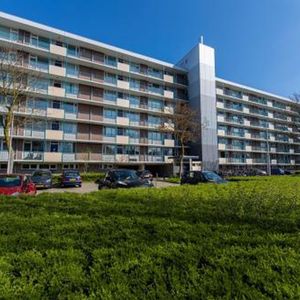 Professor Cobbenhagenlaan 5037 Tilburg - Photo 2