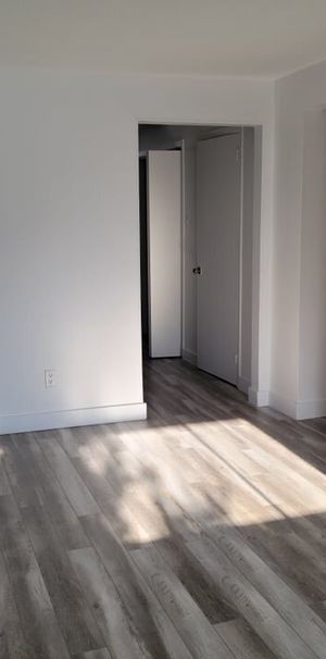 56 Rue Lucien-Brault (Gatineau) Très Beau Logement De 2 Cc - Photo 1