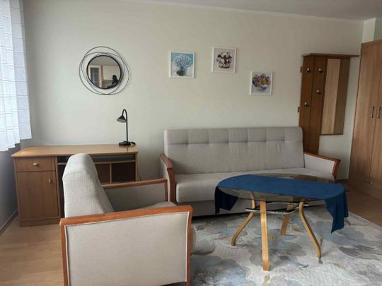 Mieszkanie do wynajęcia 1 pokoje Stanisława Szczepanowskiego, Poz 28.8 m² - Photo 1