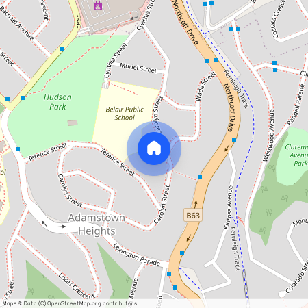 46 Carolyn Street, Adamstown Heights