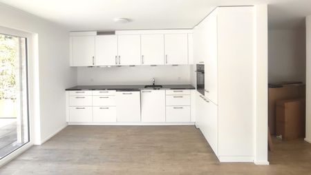 Moderne 2½-Zimmer-Attikawohnung mit grosszügiger Terrasse in Waldenburg - Photo 2