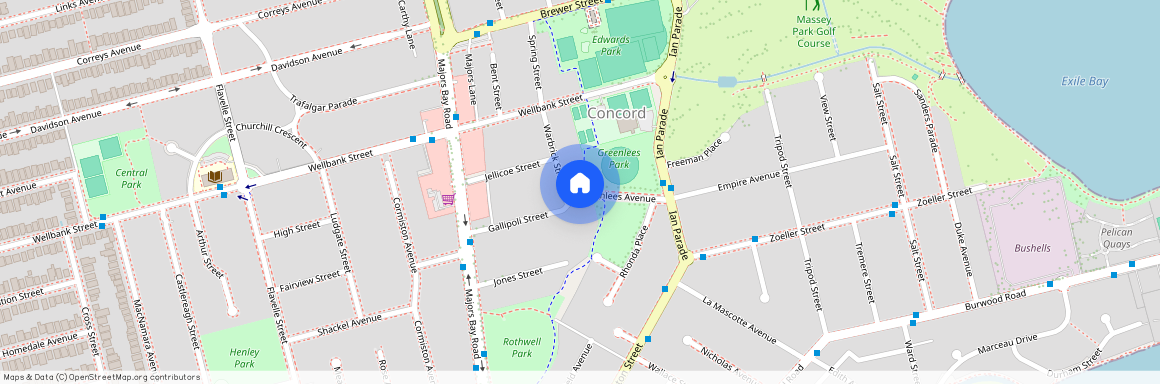 5 Warbrick Street, Concord, NSW 2137