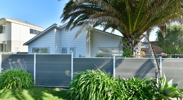 Coast Cutie - Photo 1