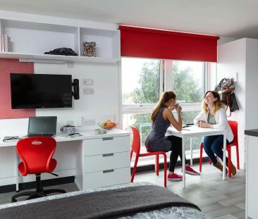 Premium Studio - Photo 6