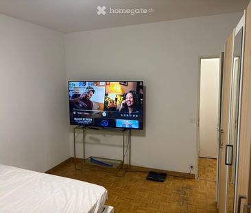 17 m² - Photo 3