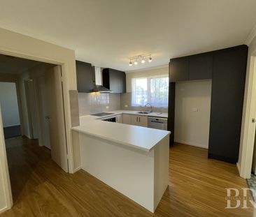 Refreshed Family Home with Spacious Yard and Powered Shed - Photo 3