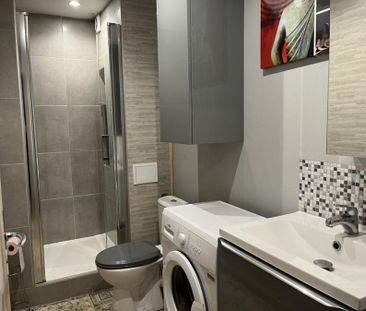 Appartement 1 pièce à Lille - Photo 4