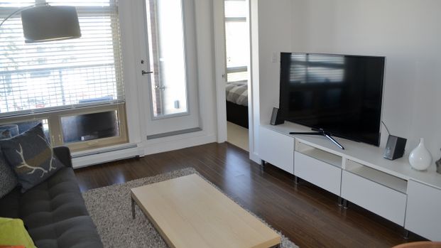 Furnished 1 Bd + Den Condo W/ Two Parking Stalls In Mission. - Photo 1