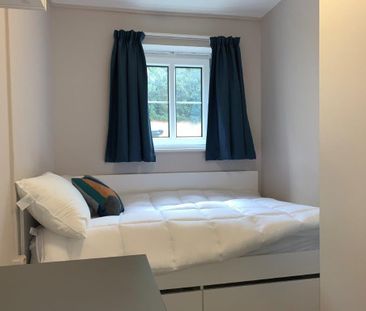 4 bedroom house share to rent - Photo 5