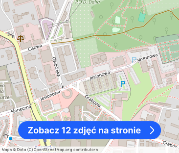 od zaraz, apartament zaraz przy Parku,blisko Pętli - Zdjęcie 1