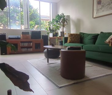 Ashfield - Photo 2