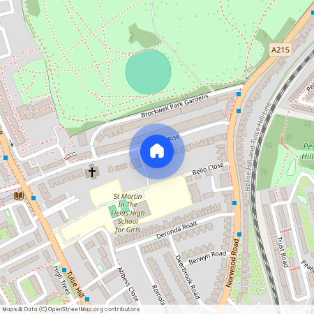 Trinity Rise, London, SW2