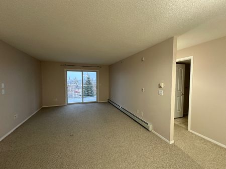 Stunning 2 Bed, 2 Bath Condo in Lancaster - 4th Floor In-Suite Laundry - Photo 4