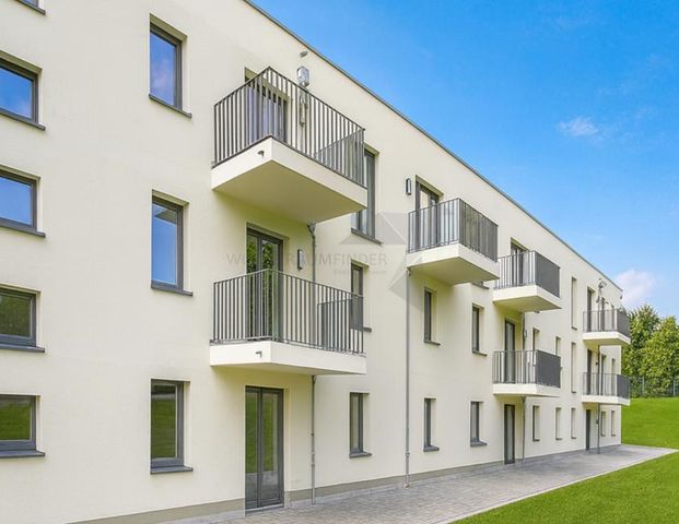 Ideal für Senioren - Barrierefreie 2-Raum-Wohnung am Pelzmühlenteich mit EBK & sonnigem Balkon - Foto 1