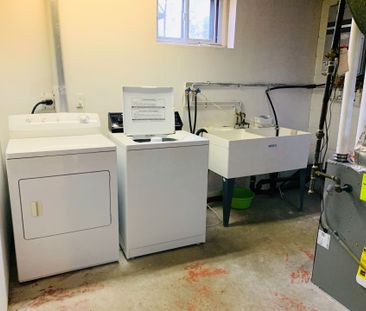 For Lease - 375 Elmwood Avenue Unit# Lower, Richmond Hill, Ontario - Photo 5