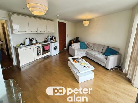 Falcon Drive, CARDIFF - Photo 2