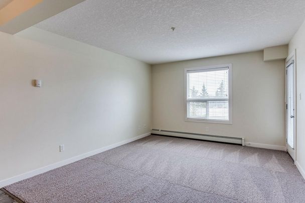 2 Bedroom - Photo 1