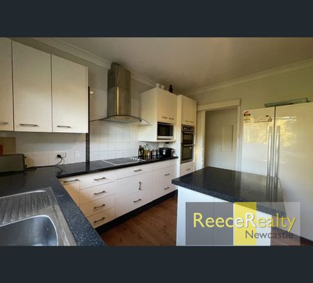 11 Jacknorman Street, Waratah West, NSW 2298 - Photo 4