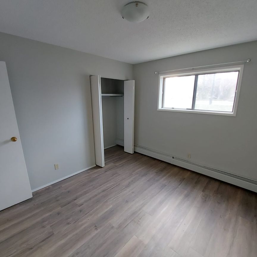 Fully Renovated Pet Friendly Unit!!! - Photo 1