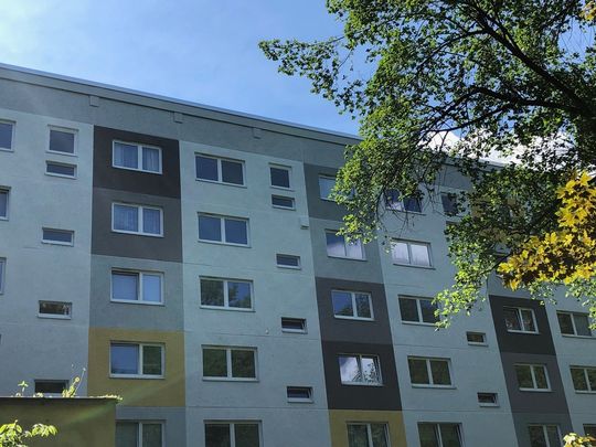 3-Raum-Wohnung mit Balkon in zentraler Lage - Foto 1