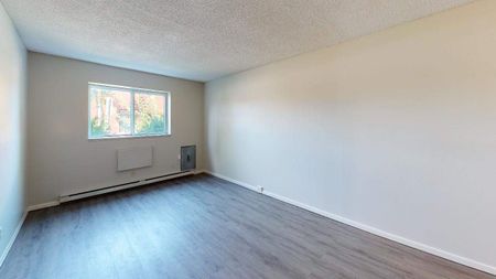 One Bedroom Apartment - Photo 5