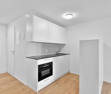 Grosses Studio an zentralster Wohnlage - Photo 1