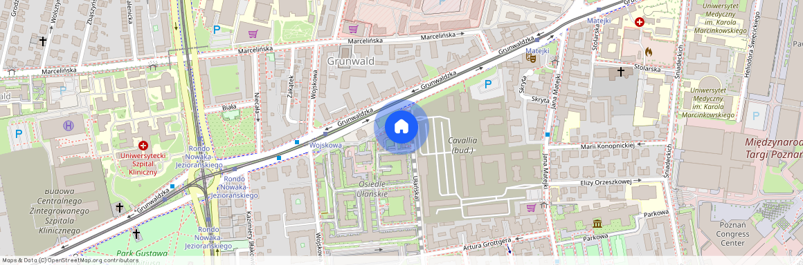 ul. Ułańska, Grunwald, Grunwald, Poznań, wielkopolskie