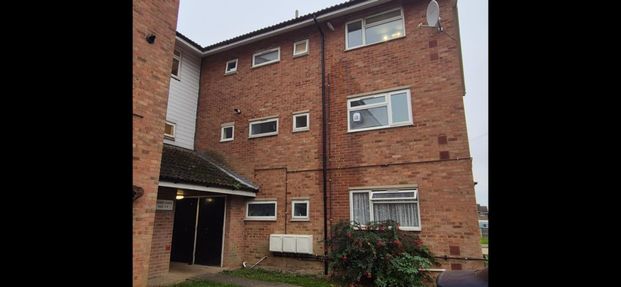 3 bed apartment to rent in Hobart Close, Chelmsford, CM1 - Photo 1