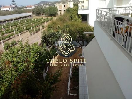 Διαμέρισμα για ενοικίαση Κέντρο (Παλαιά Φώκαια) - Φωτογραφία 3