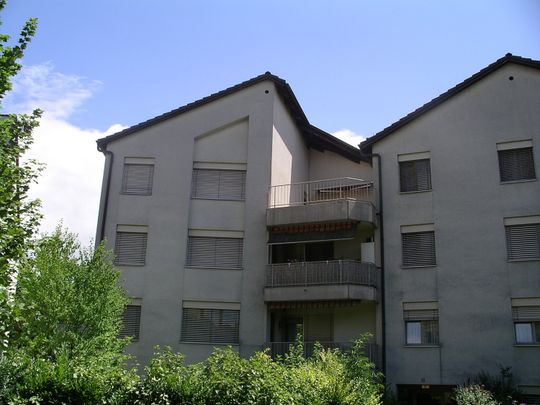 "Wohnen im stadtnahen Birsfelden" - Photo 1