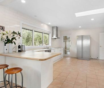 Quiet, Sun-Drenched Upstairs Retreat in Remuera - Photo 2