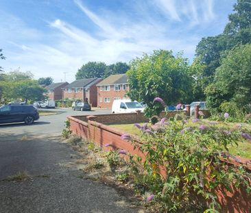 Raynham Road - Photo 5