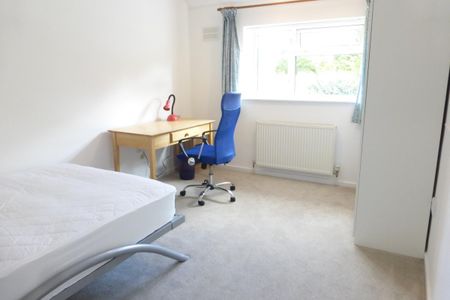 North Park Avenue, NORWICH - Photo 5