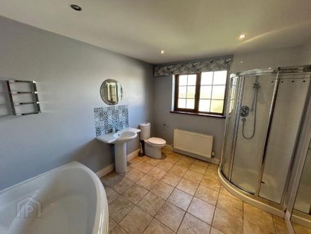 2 Springfield Court, Banbridge, BT32 3LD - Photo 5