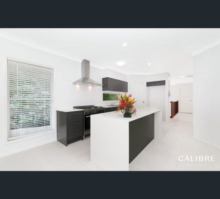 17 Herston Road, Kelvin Grove, Qld 4059 - Photo 3