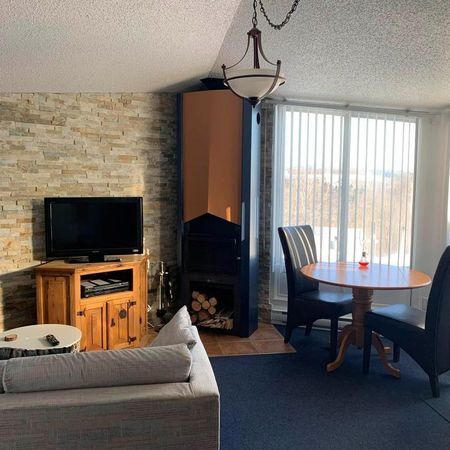 Petit 3 1/2 meublé et équipé - Photo 3