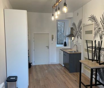 Location Appartement 1 pièce Meublé 18m² ANGERS 49100 - Photo 5